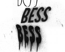 На фото BESS