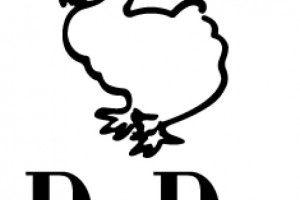 DoDo