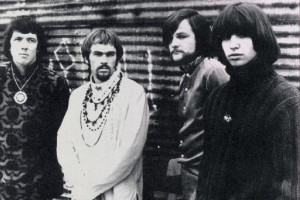 Iron butterfly