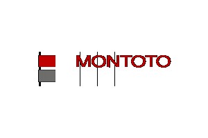 Montoto