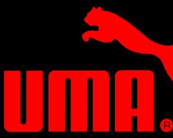 На фото Puma