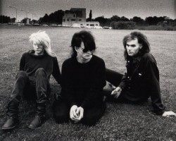 На фото Skinny Puppy