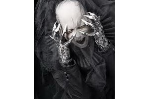 Sopor Aeternus & The Ensemble Of Shadows