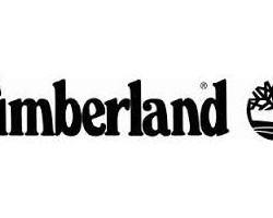 На фото Timberland